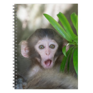 Cutest Baby Animals Surprised Snow Monkey Notebook