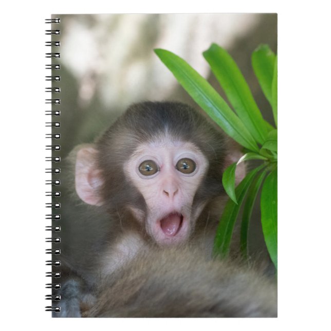 Cutest Baby Animals | Surprised Snow Monkey Notebook (Front)