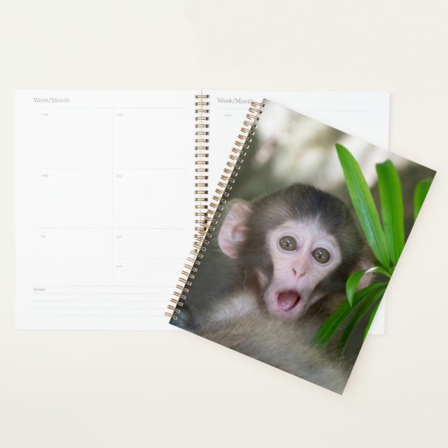 Cutest Baby Animals | Surprised Snow Monkey Planner (Display)