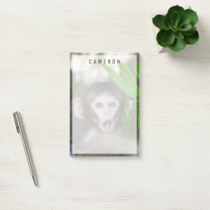 Cutest Baby Animals Surprised Snow Monkey Post-it Notes