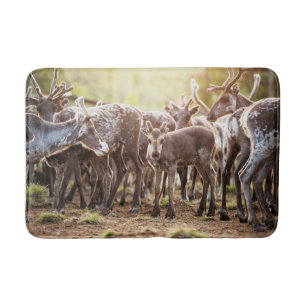 Cutest Baby Animals   Svalbard Reindeer Bath Mat