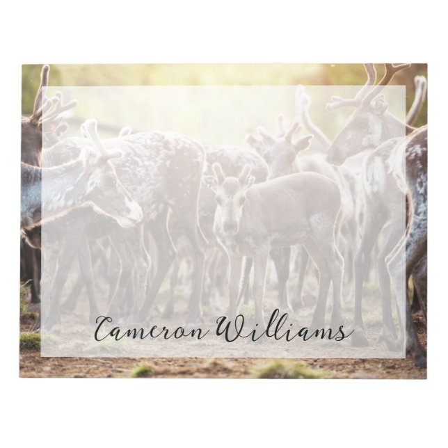 Cutest Baby Animals | Svalbard Reindeer Notepad (Front)
