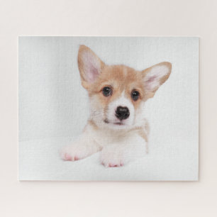 Cutest Baby Animals   Sweet Baby Corgi Jigsaw Puzzle