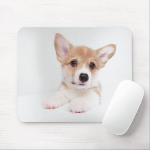 Cutest Baby Animals   Sweet Baby Corgi Mouse Pad