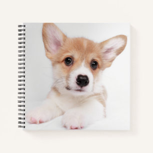Cutest Baby Animals   Sweet Baby Corgi Notebook