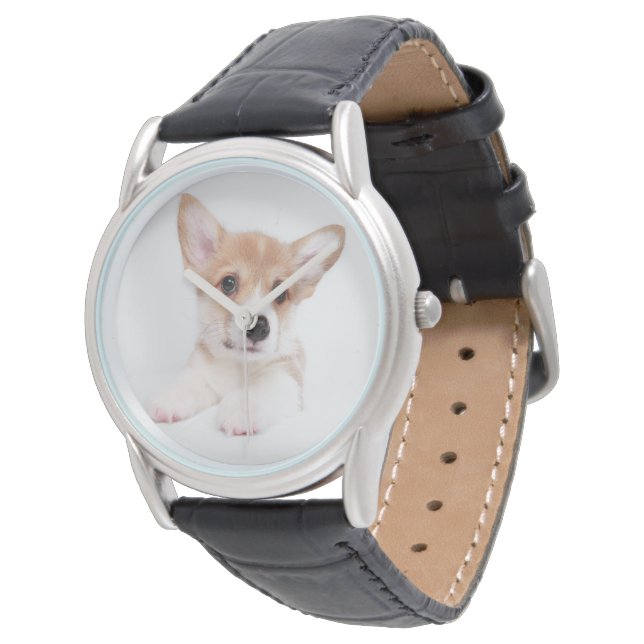 Cutest Baby Animals | Sweet Baby Corgi Watch (Angled)