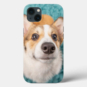 Cutest Baby Animals Sweet Corgi Puppy Face iPhone 13 Case