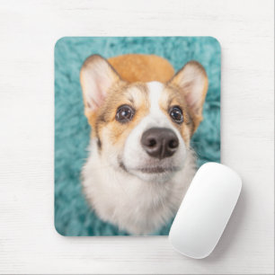 Cutest Baby Animals   Sweet Corgi Puppy Face Mouse Pad