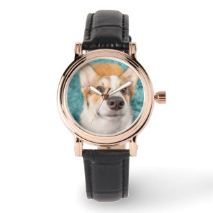 Cutest Baby Animals   Sweet Corgi Puppy Face Watch