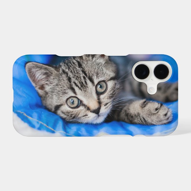 Cutest Baby Animals | Tabby Kitten in Play Tunnel iPhone Case (Back Horizontal)