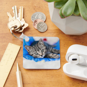 Cutest Baby Animals   Tabby Kitten in Play Tunnel Keychain