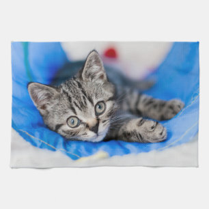 Cutest Baby Animals Tabby Kitten in Play Tunnel Kitchen Towel