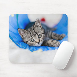 Cutest Baby Animals Tabby Kitten in Play Tunnel Mouse Pad