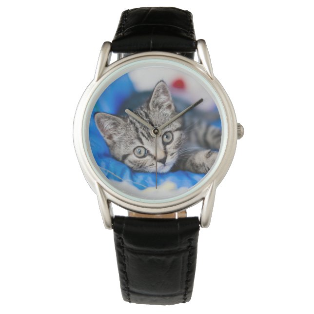 Cutest Baby Animals | Tabby Kitten in Play Tunnel Watch (Front)