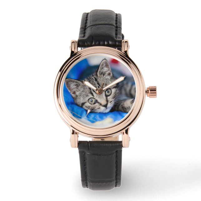 Cutest Baby Animals | Tabby Kitten in Play Tunnel Watch (Front)