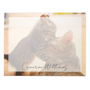 Cutest Baby Animals   Tabby Kitten Kiss Notepad