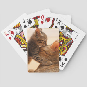 Cutest Baby Animals Tabby Kitten Kiss Playing Cards