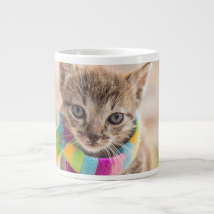 Cutest Baby Animals   Tabby Kitten Rainbow Scarf Large Coffee Mug