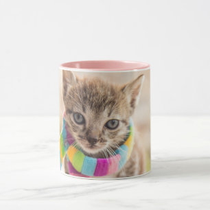 Cutest Baby Animals   Tabby Kitten Rainbow Scarf Mug