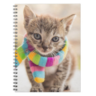 Cutest Baby Animals Tabby Kitten Rainbow Scarf Notebook