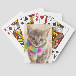 Cutest Baby Animals   Tabby Kitten Rainbow Scarf Playing Cards