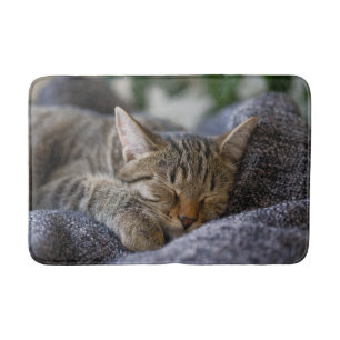 Cutest Baby Animals   Tabby Kitten Sleeping Bath Mat