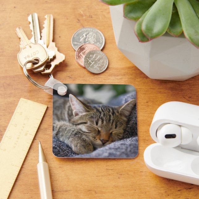 Cutest Baby Animals | Tabby Kitten Sleeping Keychain (Desk)