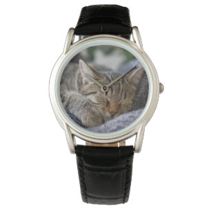 Cutest Baby Animals   Tabby Kitten Sleeping Watch