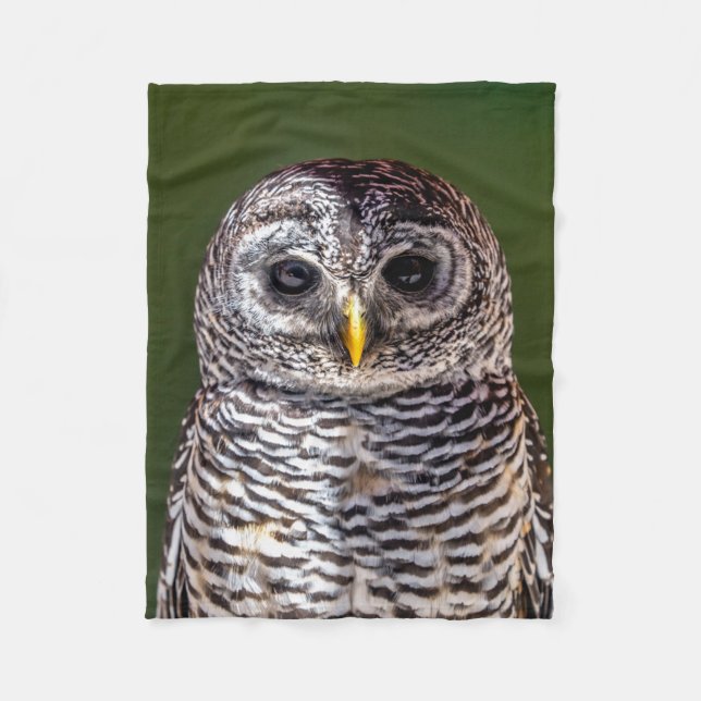 Cutest Baby Animals | Tawny Owl Fleece Blanket (Front)