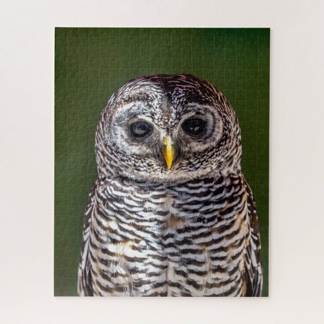 Cutest Baby Animals | Tawny Owl Jigsaw Puzzle (Vertical)