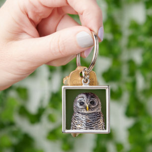 Cutest Baby Animals Tawny Owl Keychain