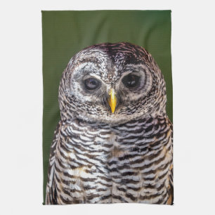 Cutest Baby Animals   Tawny Owl Kitchen Towel