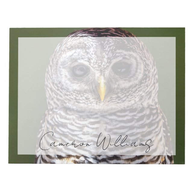 Cutest Baby Animals | Tawny Owl Notepad (Front)