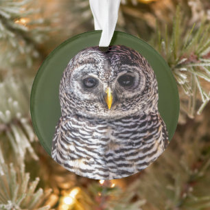 Cutest Baby Animals Tawny Owl Ornament