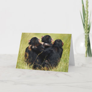 Cutest Baby Animals   Three Chimpanzees Hugging Card
