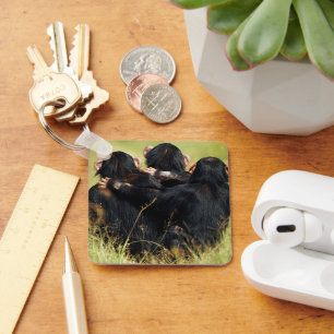 Cutest Baby Animals Three Chimpanzees Hugging Keychain