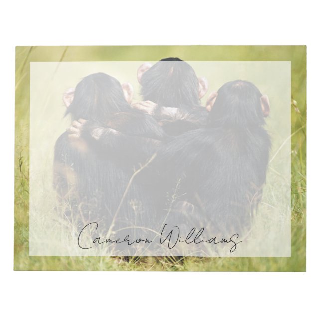 Cutest Baby Animals | Three Chimpanzees Hugging Notepad (Front)