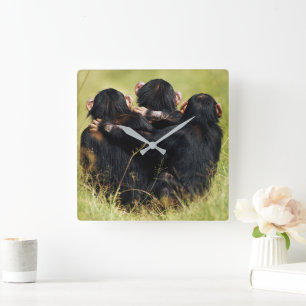 Cutest Baby Animals   Three Chimpanzees Hugging Square Wall Clock