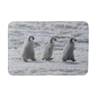 Cutest Baby Animals | Three Emperor Penguin Chicks
