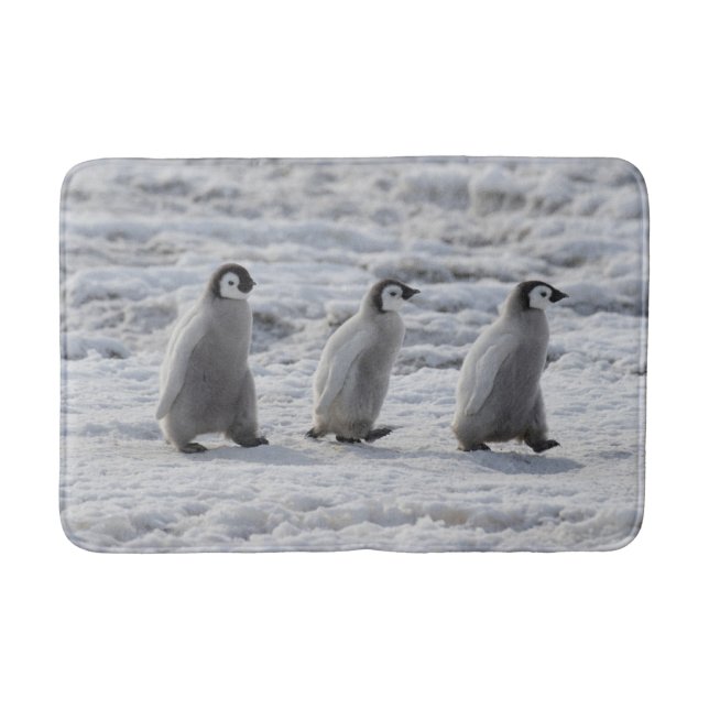 Cutest Baby Animals | Three Emperor Penguin Chicks Bath Mat (Front)