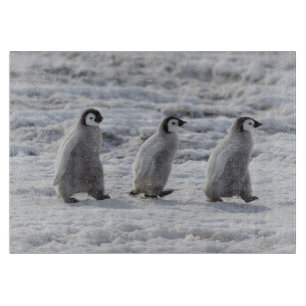 Cutest Baby Animals Three Emperor Penguin Chicks Cutting Board