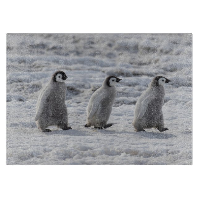 Cutest Baby Animals | Three Emperor Penguin Chicks Cutting Board (Front)