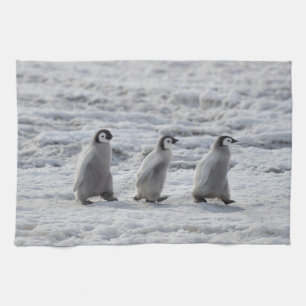 Cutest Baby Animals Three Emperor Penguin Chicks Kitchen Towel