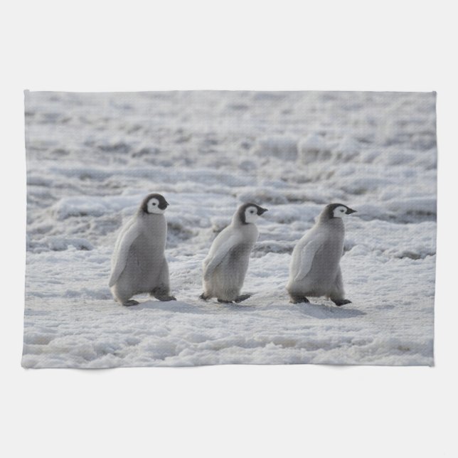 Cutest Baby Animals | Three Emperor Penguin Chicks Kitchen Towel (Horizontal)