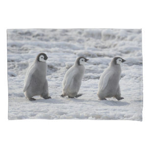 Cutest Baby Animals   Three Emperor Penguin Chicks Pillowcase
