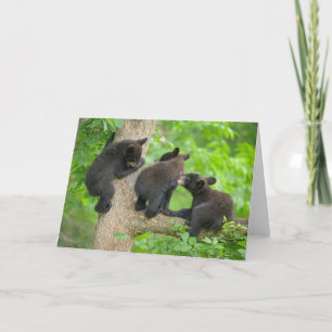Cutest Baby Animals Three Young Black Bear Cubs Card