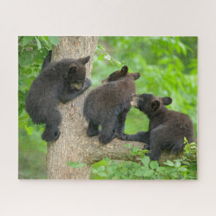 Cutest Baby Animals Three Young Black Bear Cubs Jigsaw Puzzle