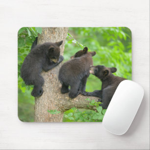 Cutest Baby Animals   Three Young Black Bear Cubs Mouse Pad