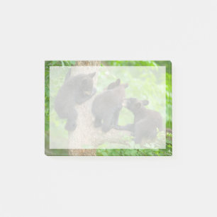 Cutest Baby Animals Three Young Black Bear Cubs Post-it Notes