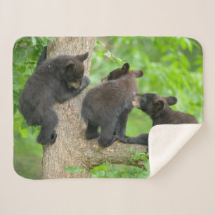 Cutest Baby Animals   Three Young Black Bear Cubs Sherpa Blanket